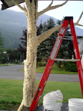 tree_foam_cage_ladder